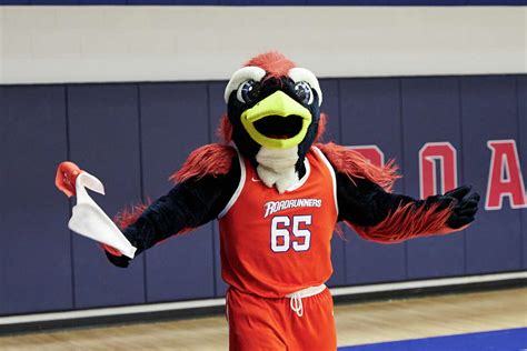 Rowdy's Homecoming: The UTSA Roadrunner Mascot's Involvement in Alumni Events